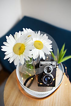 Old vintage rustic camera with a bouquet of daisy flowers on a wooden board. Close-up, bokeh