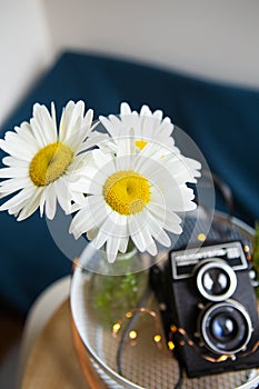 Old vintage rustic camera with a bouquet of daisy flowers on a wooden board. Close-up, bokeh. View from above