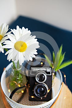 Old vintage rustic camera with a bouquet of daisy flowers on a wooden board. View from above