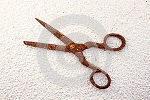 Old vintage scissors covered in rust