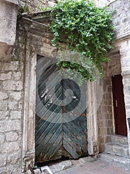 Old vintage shabby door. Old aged wooden door.