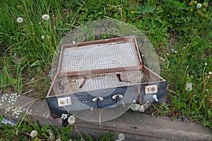 Old vintage suitcase lying on the grass