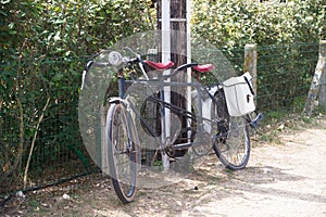 Old vintage tandem bike against a wooden electric pole. Two white cycle bag.