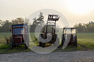 Old vintage tractors in early morning sunlights on cheese farm in Italy
