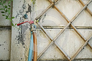 Old water tap with rubber tube in home garden for watering plants