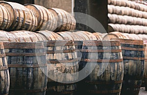 Old vintage whisky barrels filled of whiskey placed in order in