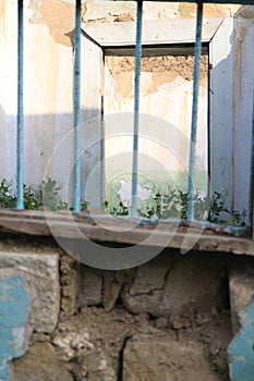 Old vintage window