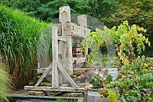 Old vintage wine press Grape