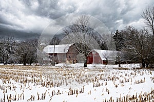 Latticini la neve 