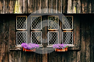 Old vintage wooden wall with rusty windows and flowers