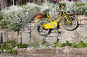 Old vintage yellow bicycle hanging on stone wall among flowers