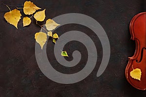 Old violin and birch branch with yellow autumn leaves. Top view, close-up on dark vintage background