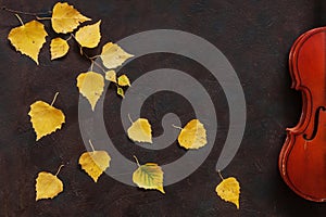 Old violin and birch branch with yellow autumn leaves. Top view, close-up on dark vintage background