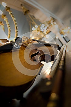 Old violin close-up