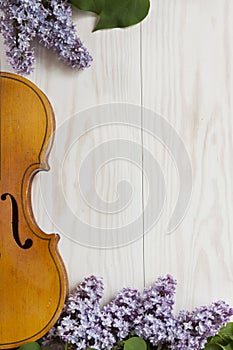 Old Violin and lilac flowers on white wooden background. Stringed musical instrument, top wiev, Love spring background
