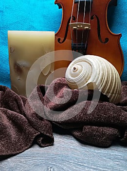 Old violin with sea shell on brown folded scarf