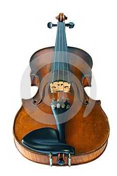 Old violine isolated