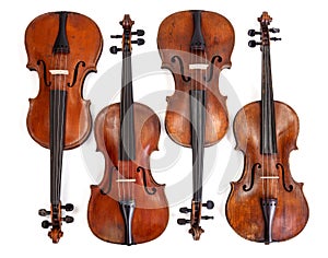 Old violins collection