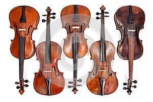 Old violins collection