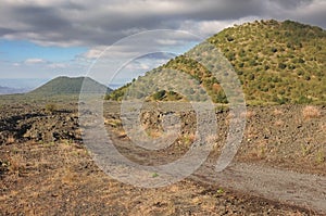 Old Volcanic Cones In The South-west Etna National Park, Sicily photo