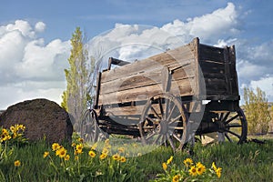 Old Wagon at Farm Ranch