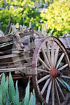 New Mexico Wagon in Corrales photo