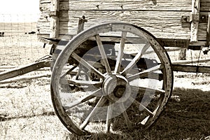 Old wagon wheel