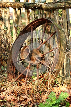 Old wagon wheel