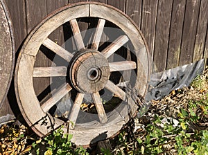 Old wagon wheel