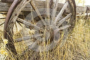 Old wagon wheel