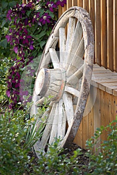Old Wagon Wheel and Fence in Flower Garden for Decoration