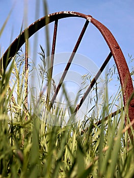 Old Wagon Wheel in Grass