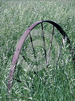 Old Wagon Wheel in Grass