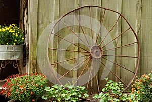Old wagon wheel leaning on barn