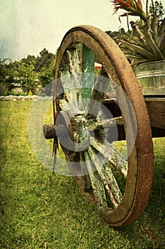 Old wagon wheel wood