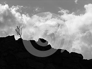 Wall trace against the light