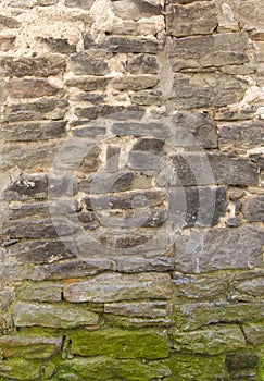 The old wall bricks texture