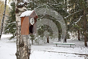 An old wall clock with cuckoo as a birdhouse in the winter park