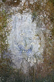 Old wall covered with moss and mold - frame