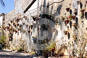 The old wall of flowerpots.