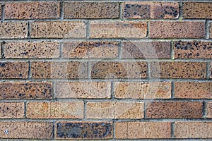 Old wall made out of terracotta bricks, aged surface with porous texture and muted colors