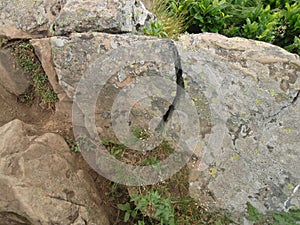 Old wall made of stones, with moss