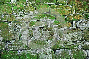 Old wall overgrown with moss