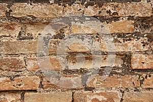 Old Wall of Red Bricks and White Brayed and Cracked Old Paint. Red, Terracotta and White Brick Background. Old Wall for Background