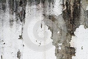 Old wall white color concrete