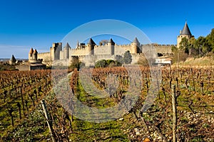 Old walled citadel and vinyards. Carcassonne. France photo