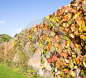 old walled elizabethan garden packwood house stately home warwickshire midlands england uk