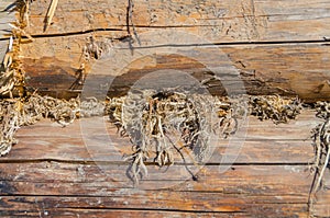 The old walls of the barn in the gap scored moss, insulation