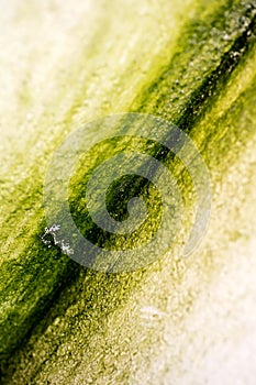 Old walls lines macro abstract background high quality