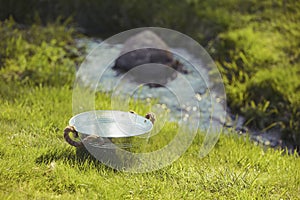 Old wash basin in the yard by the stream